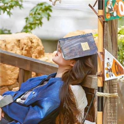 剧场版 快乐的噜噜米一家：姆明谷的彗星