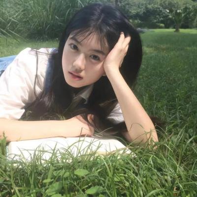 朝鲜名侦探：高山乌头花的秘密